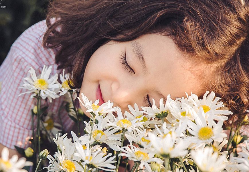 Rosas para embellecer