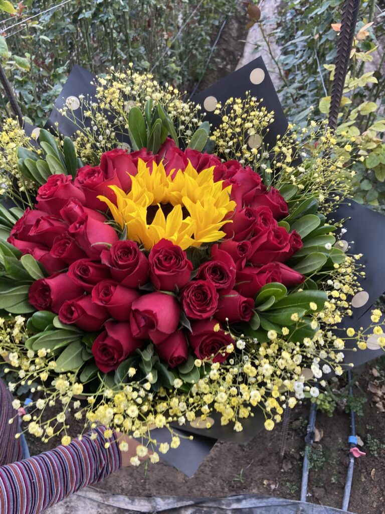 ramo 1 girasol 50 rosas rojas