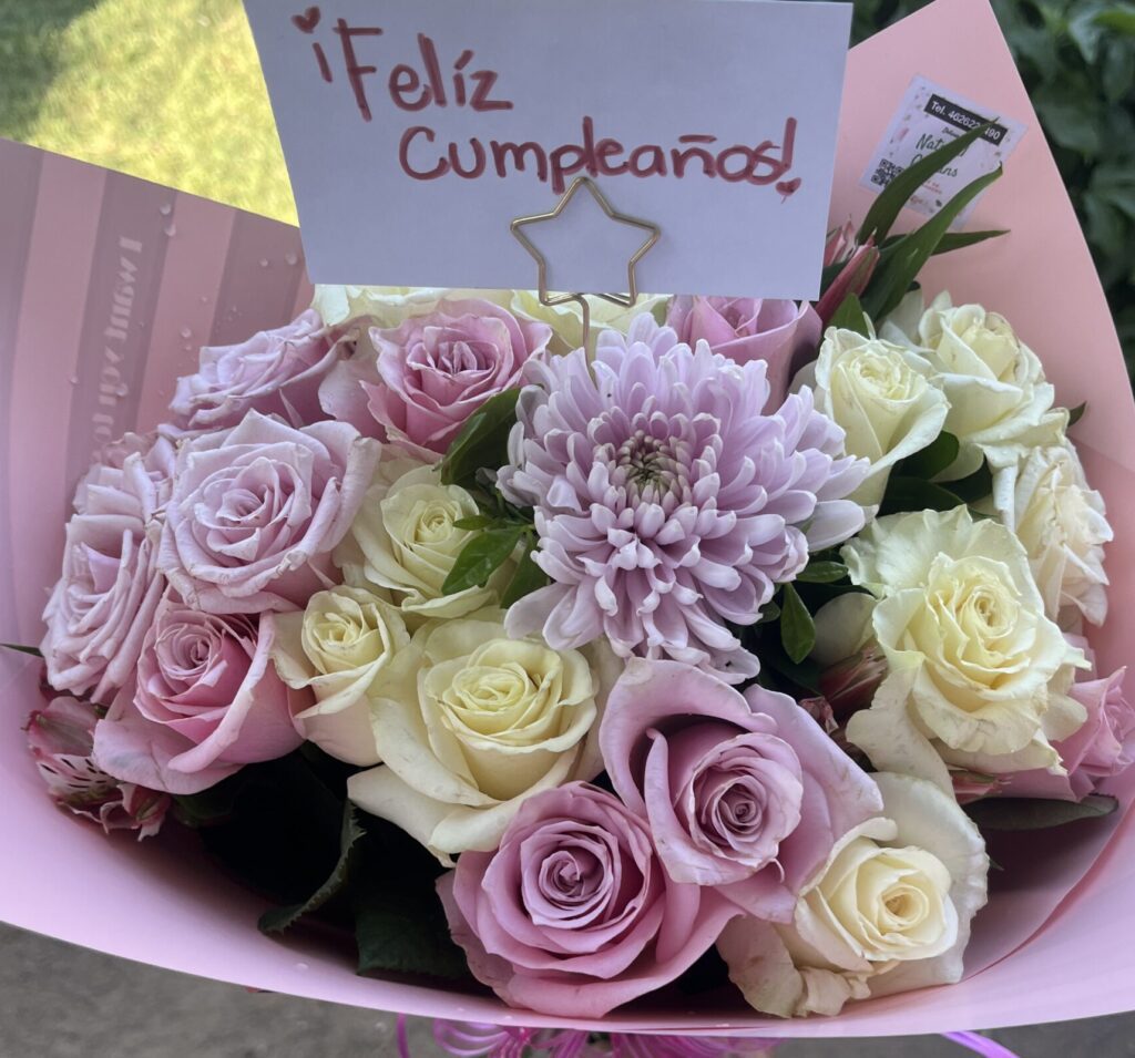 14 Rosas de rosas