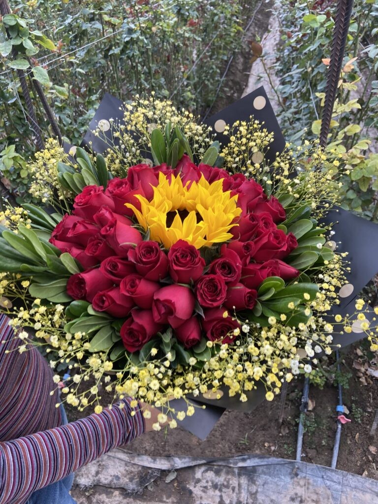 ramo 1 girasol 50 rosas rojas