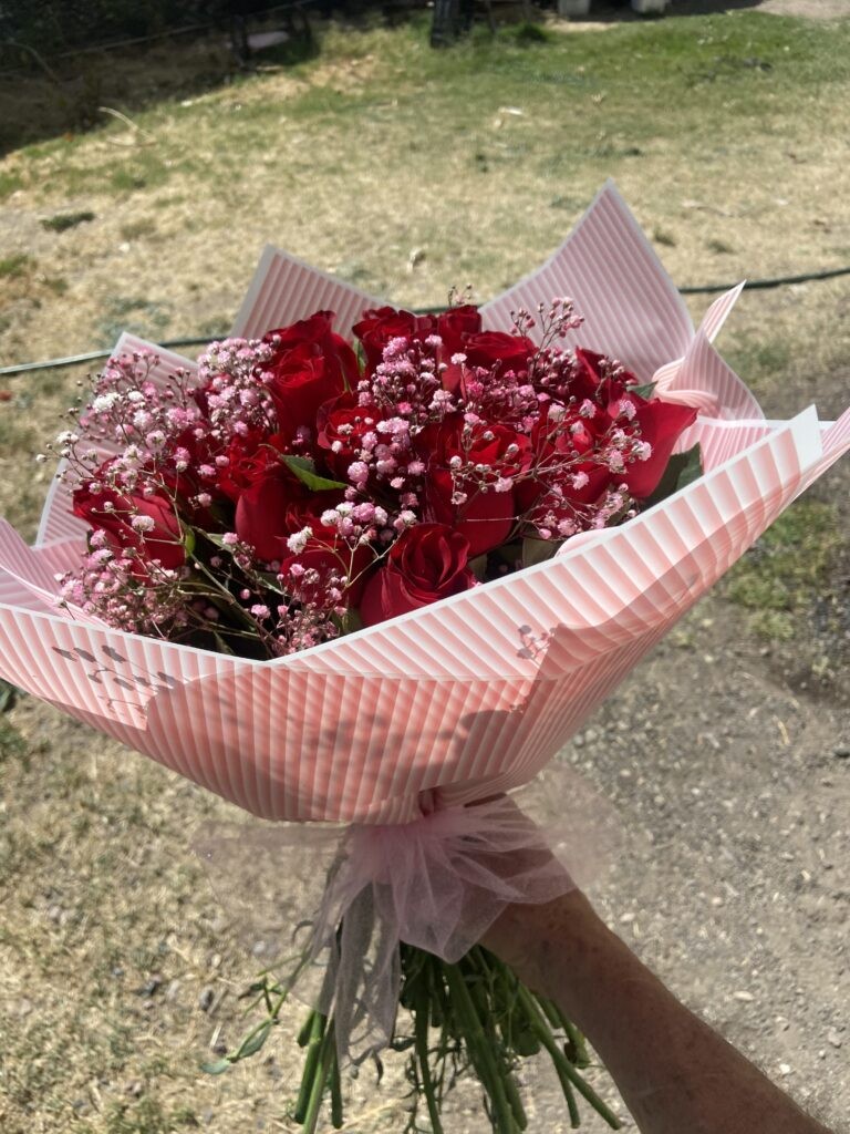 Rosas rojas y florecitas rosita