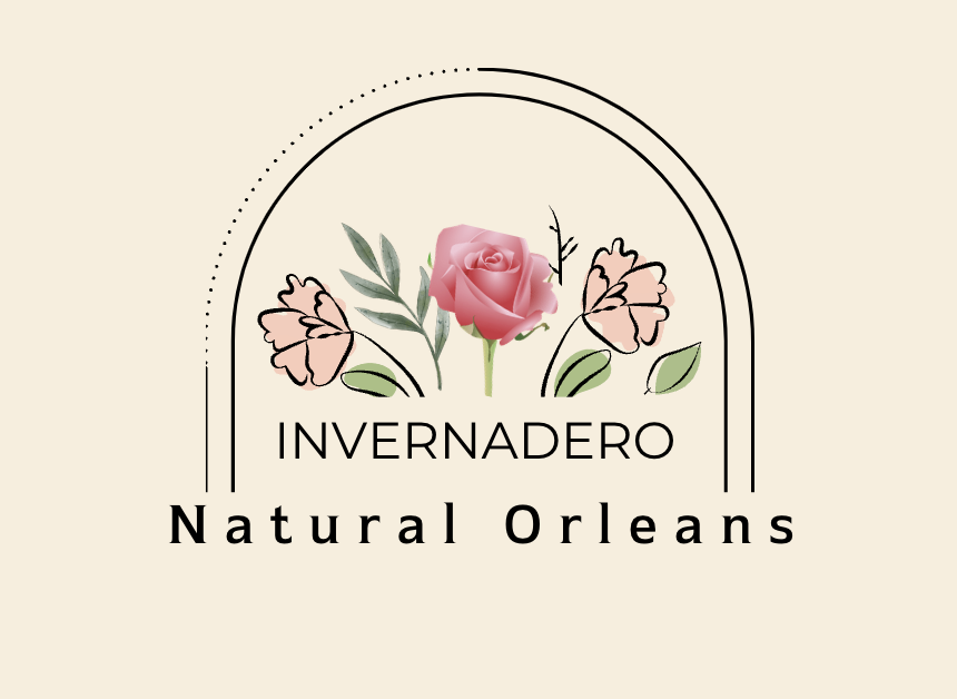 Rosas Natural Orleans