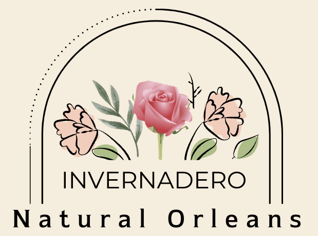 Rosas Natural Orleans