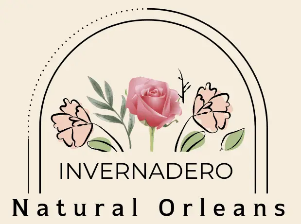 Rosas Natural Orleans