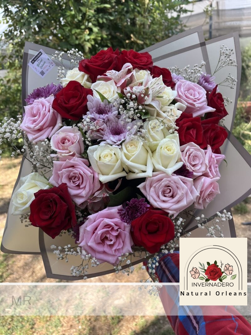 Ramo 20 Rosas Rojas - Imagen 2