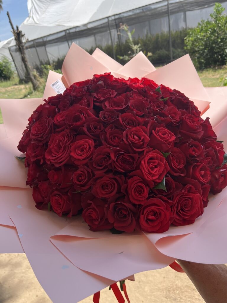 Ramo 100 rosas Rojas