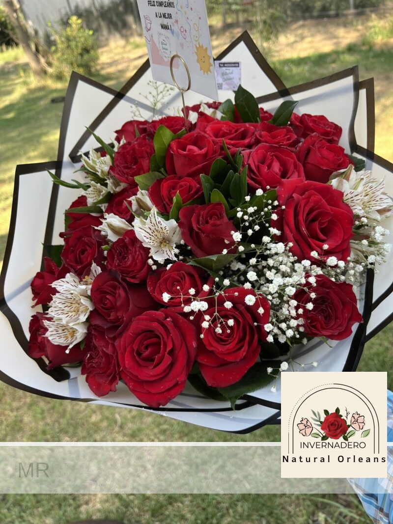 Ramo 28 rosas Rojas