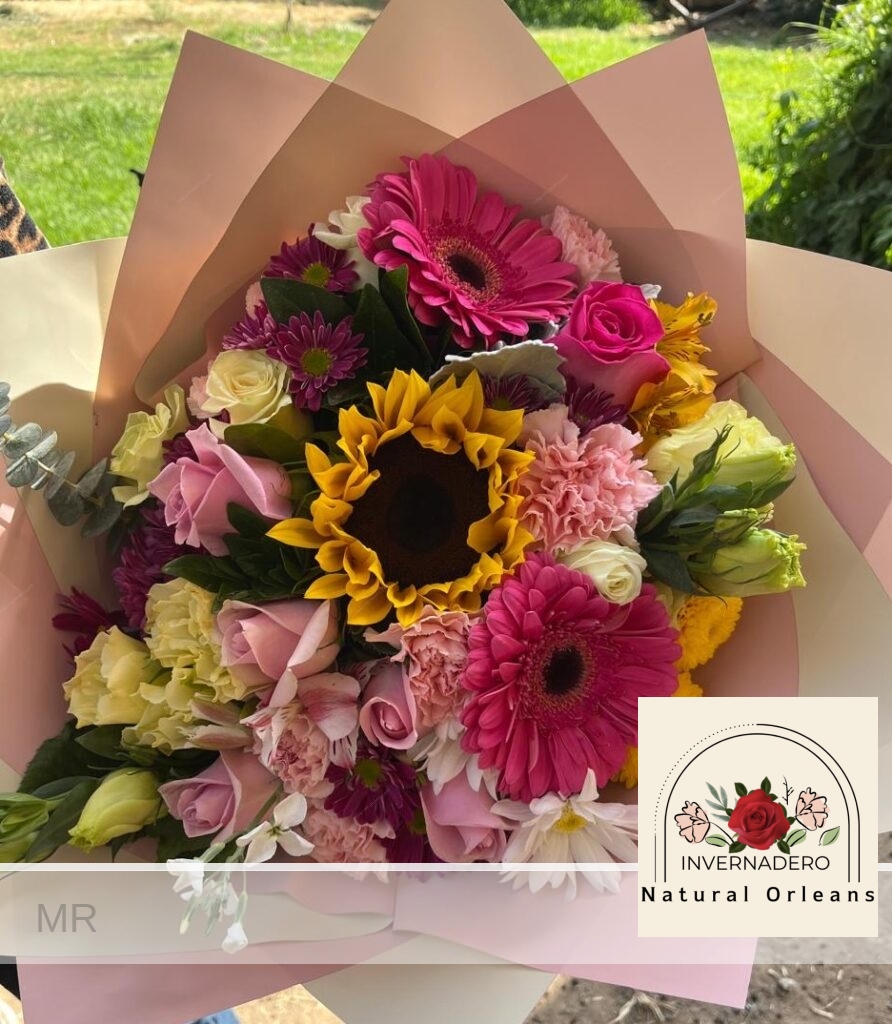 MIX con rosas rosita