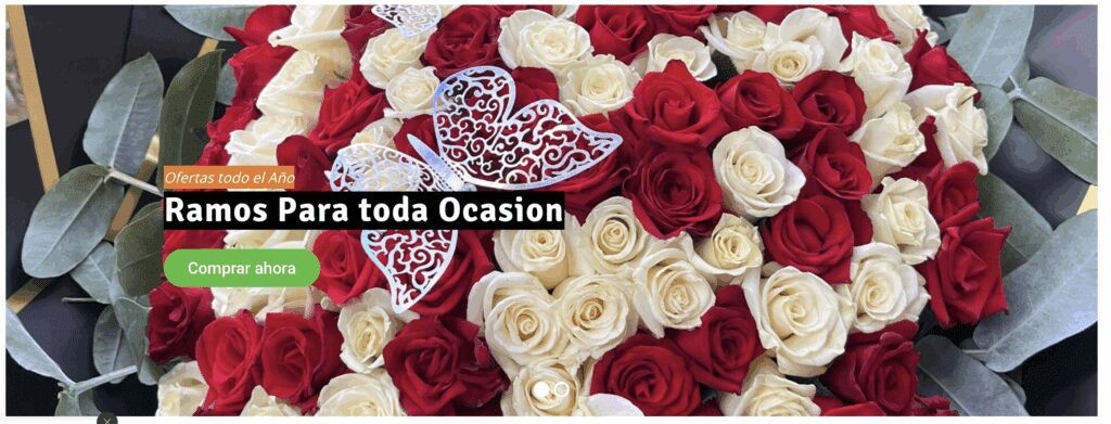 Rosas Natural Orleans Calidad