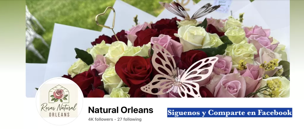 Facebook Natural Orleans